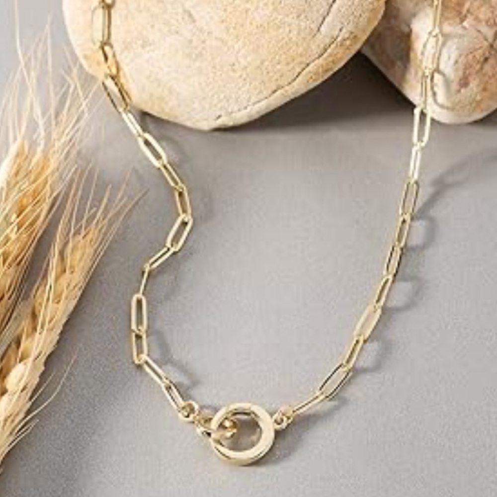 Classic Gold Interlocking Paperclip Circle Pendant Lariat Charm Holder Necklace - Picture 14 of 14